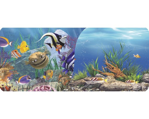 Akvariebakgrund ORBIT Hitta Nemo 60x30cm