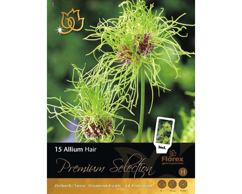 Blomsterlökar premium allium/prydnadslök Hair 15st