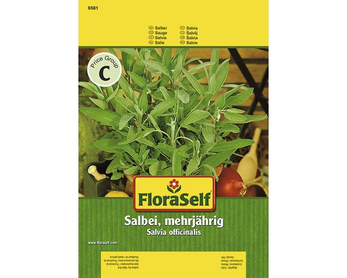 Kryddväxtfrö FLORASELF Salvia perenn