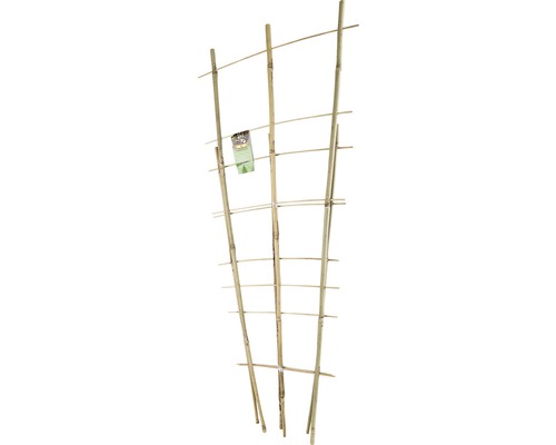 Bambuspaljéset FLORASELF 60cm+85xm