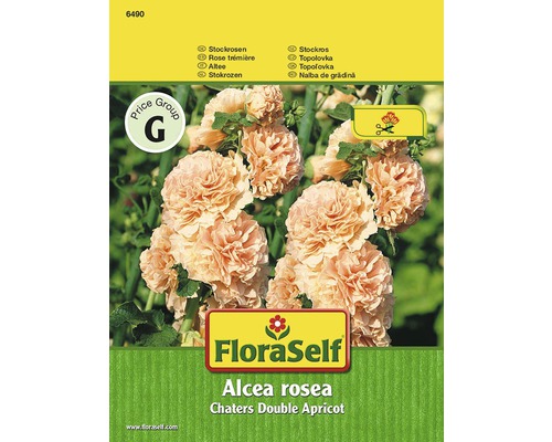Blomfrö FLORASELF Stockros Chaters Double Apricot