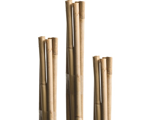 Tonkinstav FLORASELF bambukäpp 120cm ca Ø8/10mm 10-pack