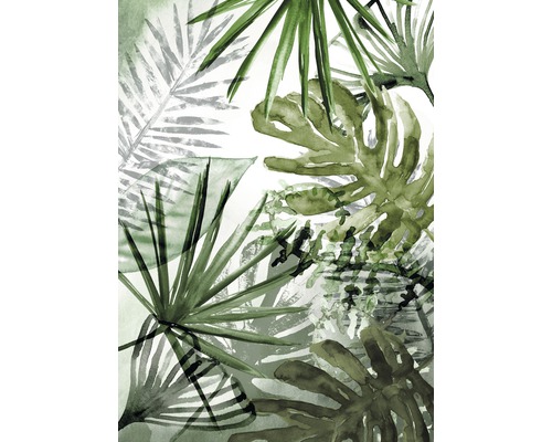 Fototapet ART FOR THE HOME pure nature palm mix 105400