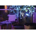Philips hue LED Spot 1er Erweiterung Lily White & Color Ambiance Outdoor RGB 8W 640 lm 2000-6500 K schwarz H 194 mm - kompatibel mit SMART HOME by hornbach