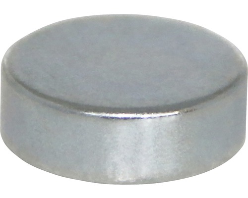 Magnet INDUSTRIAL cylindrisk Ø15x5mm 6-pack