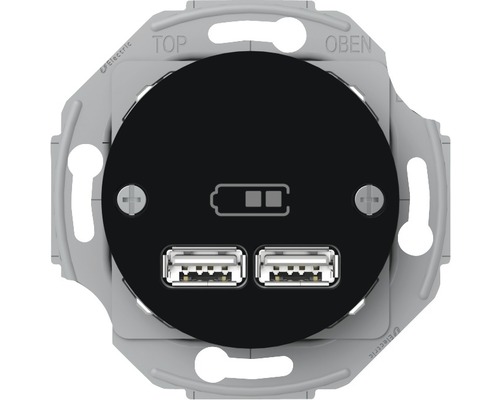 USB-uttag SCHNEIDER ELECTRIC Renova utan ram svart, 5200157-0