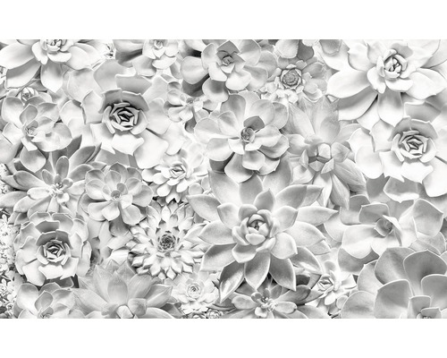 Fototapet KOMAR shades black and white floral 400x250cm P962-VD4