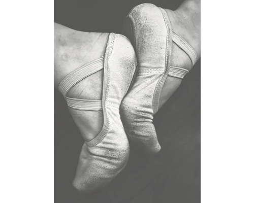 Poster Faded Ballet Shoes 50x70cm