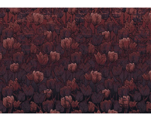 Fototapet KOMAR Tulipe 8 delar 400x280cm HX8-051-0