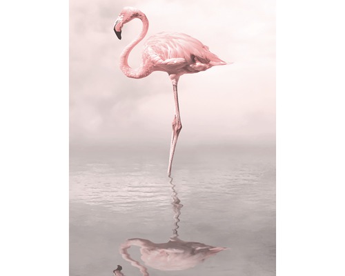 Poster Pink Flamingo 1 30x40cm