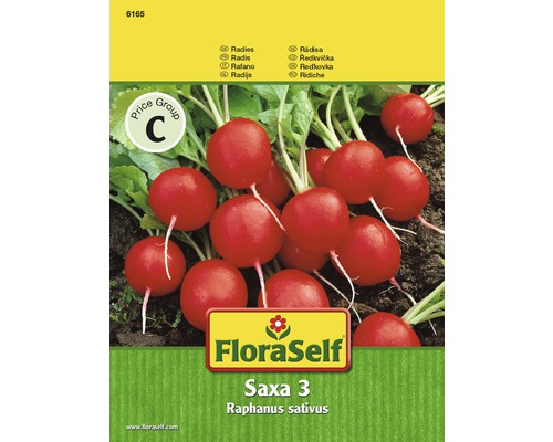 Grönsaksfrö FLORASELF Rädisa Saxa 3