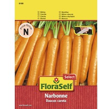 Grönsaksfrö FLORASELF Morot Narbonne såband-thumb-0