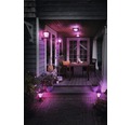 Pollare PHILIPS Hue Econic white and color ambiance 15W 1150lm IP44 100x16,3cm svart