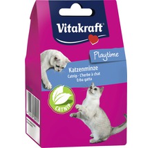 Kattmynta VITAKRAFT Catnip box 20g-thumb-0