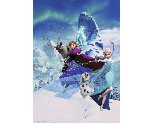 Fototapet KOMAR Frozen Elsas Magic 4 delar 200x280cm DX4-014