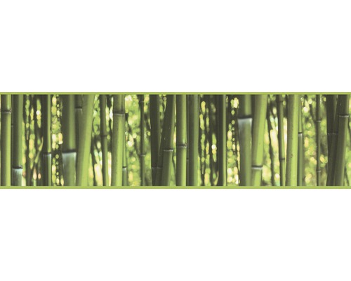 Tapetbård A.S. CRÉATION 8 självhäftande bambu grön 5mx177mm 9036-17