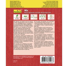 Asiatiska bladgrönsaker FLORASELF såband (5m)-thumb-1