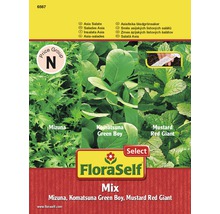 Asiatiska bladgrönsaker FLORASELF såband (5m)-thumb-0