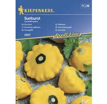 Grönsaksfrö KIEPENKERL Squash Sunburst-thumb-0