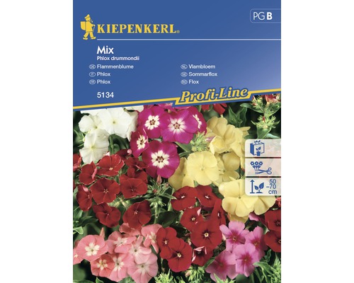 Blomfrö KIEPENKERL Phlox mix