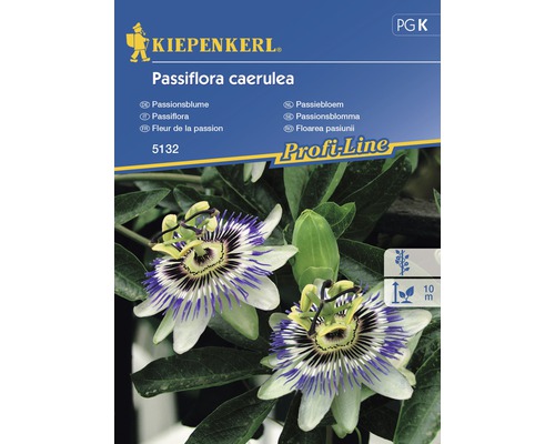 Blomfrö KIEPENKERL Passiflora Caerulea