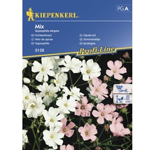 Blomfrö KIEPENKERL Gypsophila mix-thumb-0