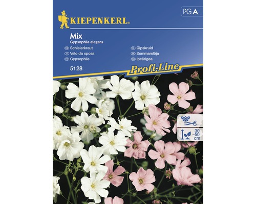 Blomfrö KIEPENKERL Gypsophila mix-0