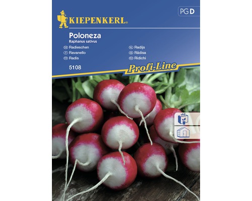 Grönsaksfrö KIEPENKERL Rädisa Poloneza-0