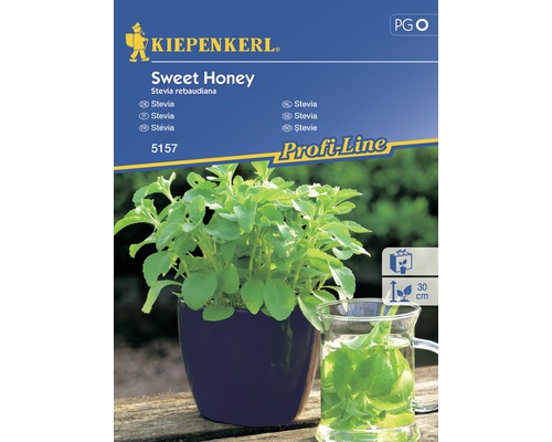 Kryddväxtfrö KIEPENKERL Stevia Sweet Honey