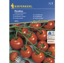 Grönsaksfrö KIEPENKERL Cocktailtomat Picolino-thumb-0