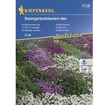 Blomfrö KIEPENKERL Stenpartimix-thumb-0