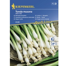 Grönsaksfrö KIEPENKERL Purjolök Tonda Musona-thumb-0