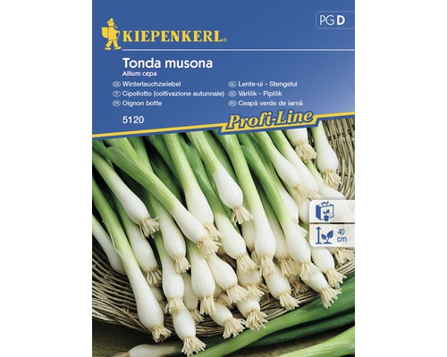 Grönsaksfrö KIEPENKERL Purjolök Tonda Musona-0