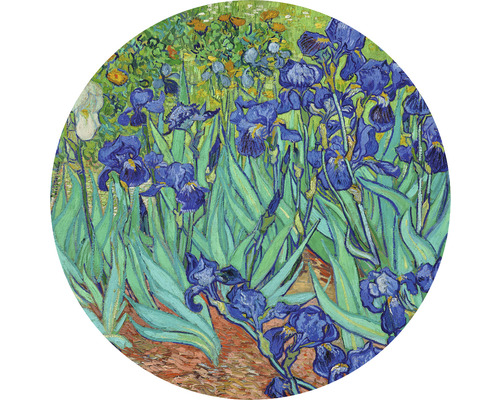 Fototapet SPECIAL DECORATION non-woven Van Gogh Irisar 142,5cm