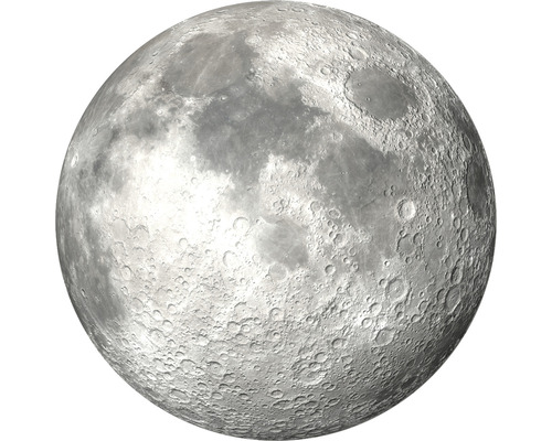 Fototapet SPECIAL DECORATION non-woven Måne 142,5cm