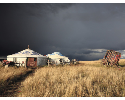 Fototapet SPECIAL DECORATION Mongolisk Yurts 340x254cm