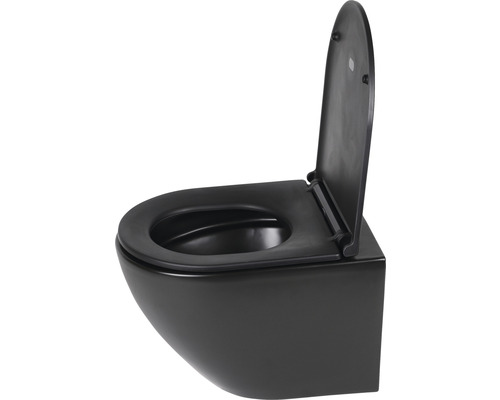 Toalettstol med mjukstängning DIFFERNZ vägghängd inkl sits matt svart