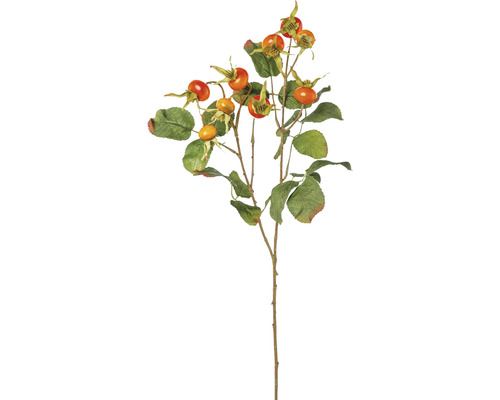 Konstväxt Nyponkvist 58cm orange