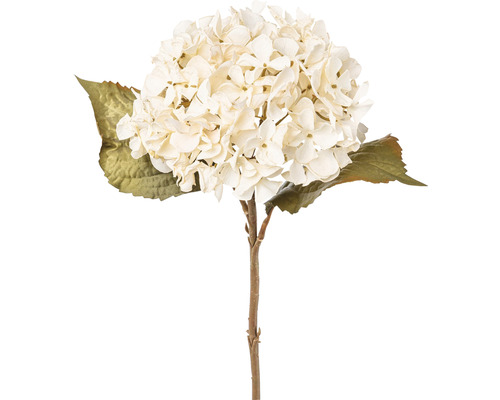Konstväxt Hortensia 46cm beige