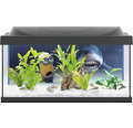 Akvarium TETRA Starter Line Minions 2 54L inkl. LED-belysning, värmare, foder, vattenberedning utan underskåp