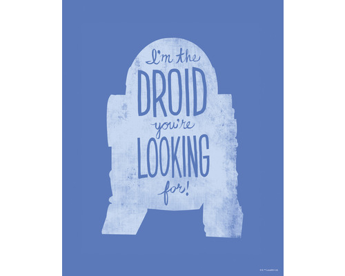 Poster KOMAR Star Wars R2D2 30x40cm -022