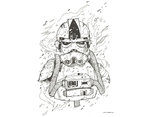 Poster KOMAR Star Wars Pilot Drawing 30x40cm
