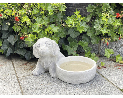 Trädgårdsfigur hund med skål betong vit