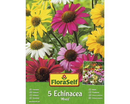 Jordstam FLORASELF Solhatt Echinacea mix 5st