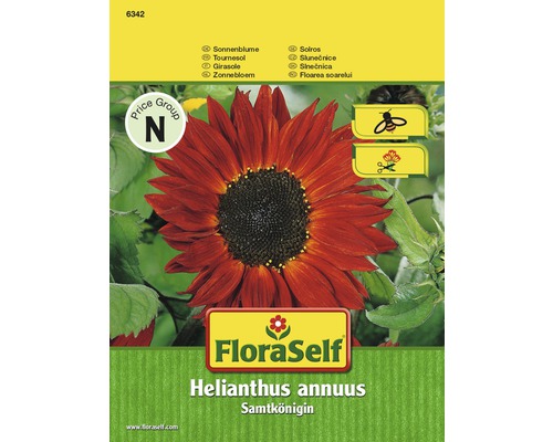Blomfrö FLORASELF Solros Helianthus Samtkönig