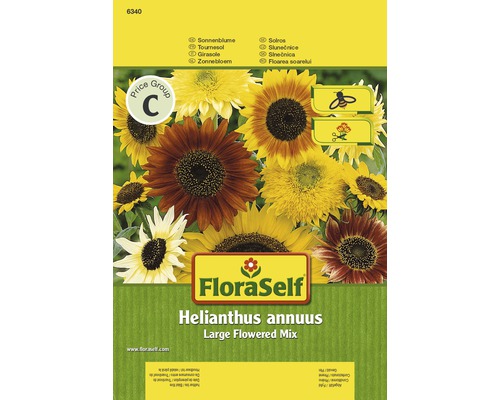 Blomfrö FLORASELF Solros Helianthus Storblommig mix