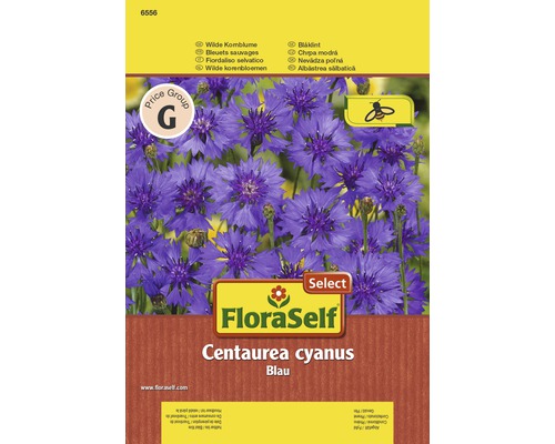 Blomfrö FLORASELF Blåklint Centaurea Cyanus