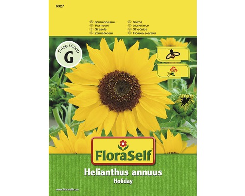 Blomfrö FLORASELF Solros Helianthus Holiday