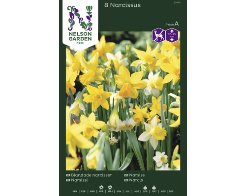 Blomsterlökar NELSON GARDEN blandade Narcisser 8st
