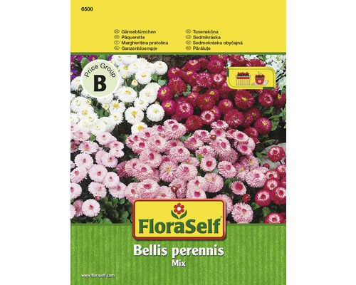 Blomfrö FLORASELF Tusensköna Bellis fylld mix